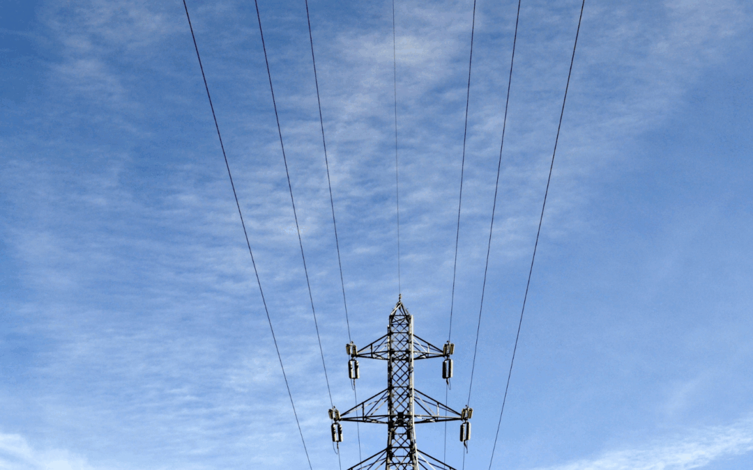 Why Every Florida Home Needs Whole Home Surge Protection